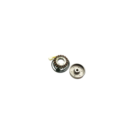 Electrex, rotor, Honda CBR 900/929 (SC44)