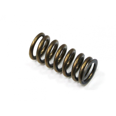 Nachman, pružina sacího ventilu, Honda CRF 450R '09-'16 (PSYCHIC) (MX-09533IS)