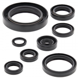 Winderosa (Vertex), sada gufer motoru, Honda CR250R 88-91, CR500R 89-01