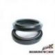 Bearing Worx, prachovky přední vidlice ARI126 48X58.2/62X6/13 mm (XICY3) (57-105)