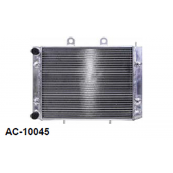 Bronco, chladič, Polaris SPORTSMAN 700 '05, SPORTSMAN 800 '05-'15 (OEM: 1240521, 5412392)