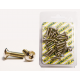 CC, šrouby brzdového kotouče, s osazením M6/18mm (20ks.) TORX T-30 10,9 HRC (1083-11)